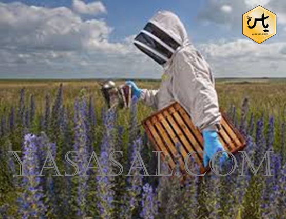 معرفی انواع لوازم زنبورداری