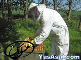 تجهیزات زنبورداری