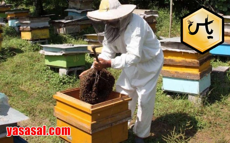فروش ابزار زنبورداری