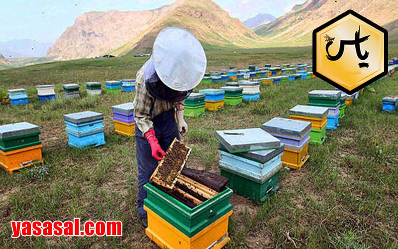 تجارت ابزار زنبورداری